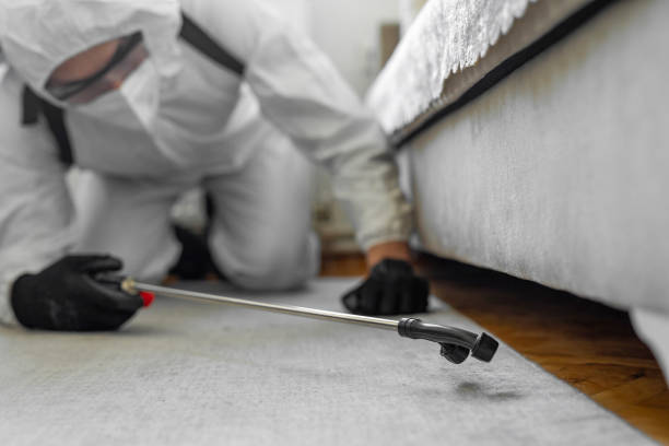 Professional Bed Bug Control technician working in Byron Center, MI
